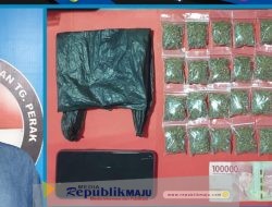 Satresnarkoba Polres Pelabuhan Tanjung Perak Amankan Seorang Penjaga Warkop Kedapatan Simpan Ganja Kering