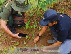 Viral Dugaan Jejak Harimau di Ponorogo, BBKSDA Pastikan Bukan Kucing Besar