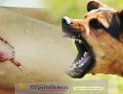Mengenaskan! Pria Ini Ditemukan Tewas Terkoyak, Diduga Digigit Anjing Peliharaannya
