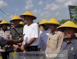 Harap Waspada! Penipuan Pupuk Bersubsidi Beredar Luas di Medsos