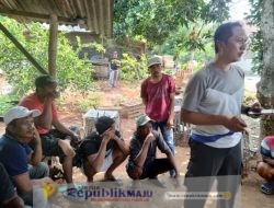 17 Orang Penjudi Sabung Ayam Diamankan Polsek Ujungpangkah 