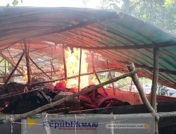 Tindak Tegas Perjudian Polres Mojokerto Bongkar Arena Sabung Ayam