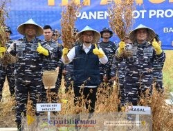 TNI AL Dukung Ketahanan Pangan, Kasal Panen Perdana Migo AL1-89 di Banten 