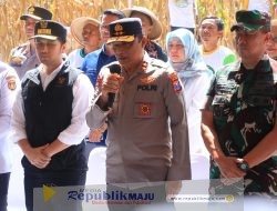 Dukung Swasembada Pangan, Kapolda Jatim Bersama Forkopimda Panen Raya Jagung Kuartal II di Ngawi