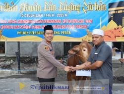 Kapolres Pelabuhan Tanjung Perak Salurkan 51 Hewan Kurban Jelang Idul Adha 1446 H