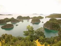 DPR RI: Belum Semua Perusahaan Tambang di Raja Ampat Ditindak Pemerintah