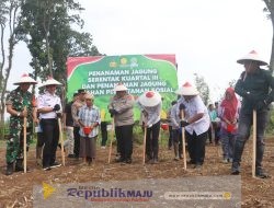 Kolaborasi Untuk Swasembada: Polres Pasuruan Tanam Jagung Serentak di Lahan Perhutanan Sosial