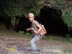 Gelang Emas dari Hutan: Legenda Panglima Kijang dan Jejak Kutai Lama yang Tak Terlupakan