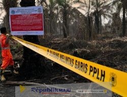KLH Tegas! Segel 4 Perusahaan dan Tutup 1 Pabrik Terkait Karhutla di Riau