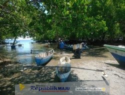 Prajurit Lantamal VII Gagalkan Penyelundupan Ratusan Ikan Tuna Tujuan Timor Leste