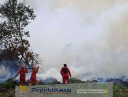 Menko Polkam Minta Menhut Cabut Izin Perusahaan Pembakar Hutan di Riau