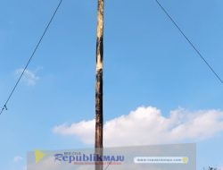 HUT Ke-80 RI Warga Rusunawa Benowo Pakal Adakan Lomba Panjat Pinang Dewasa dan Anak-anak